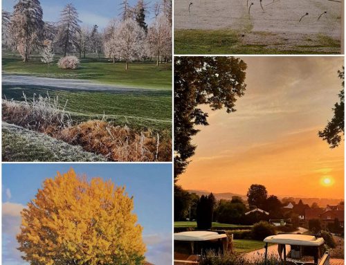Neue Fotoausstellung im Golfclub