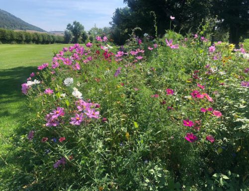 HERZLICH WILLKOMMEN im Golfclub Sieben-Berge Rheden e.V.