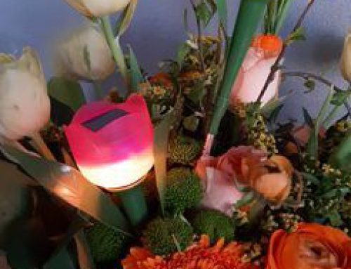 DiDaGo – aktiv: TULPENTURNIER am 14. April 2026